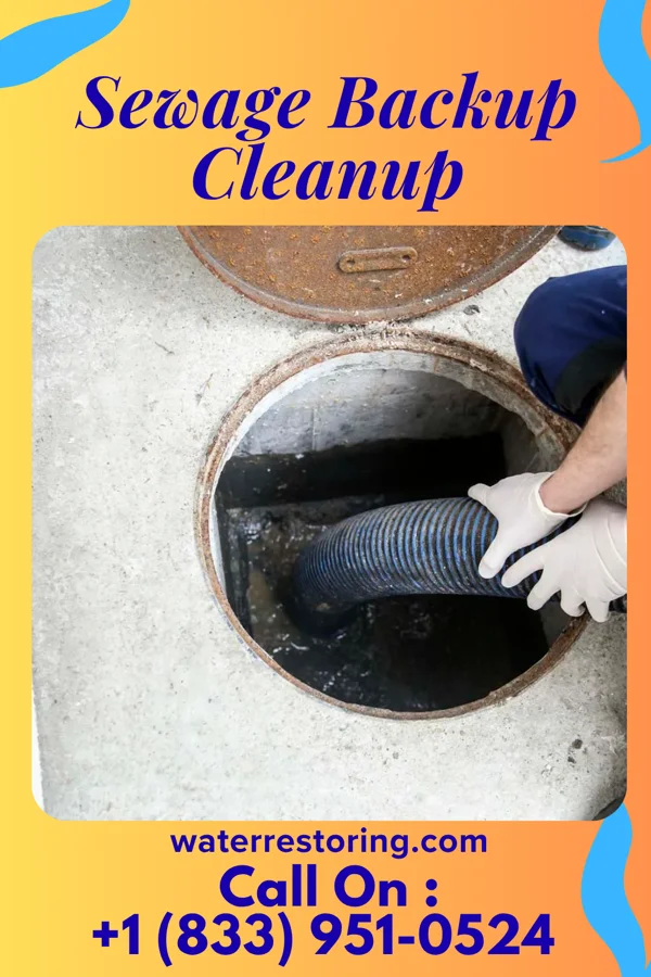 Sewage Backup Cleanup in Gallatin, TX