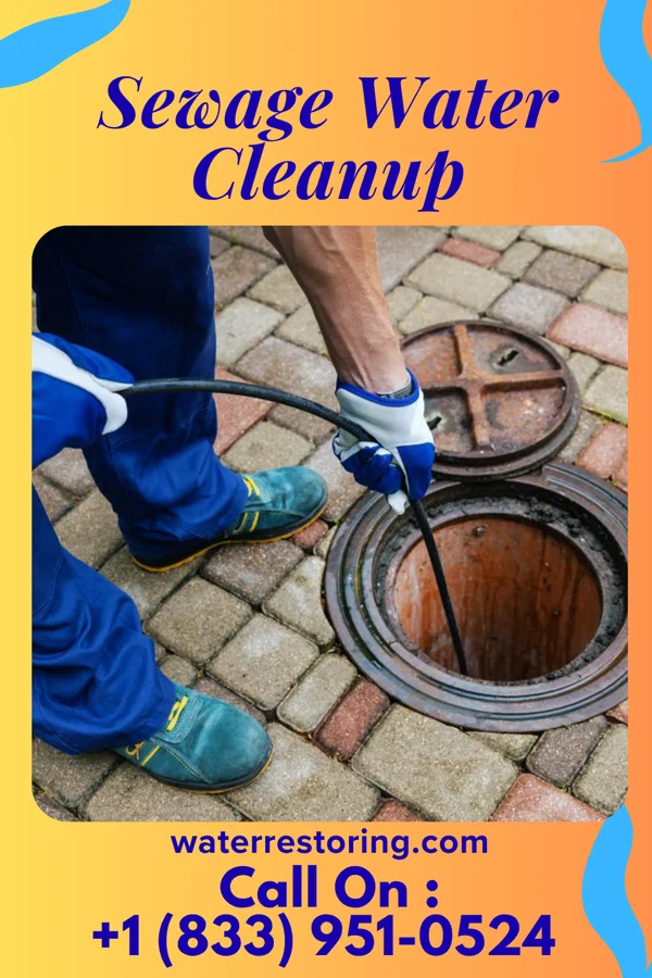 Sewage Water Cleanup in Gallatin, TX